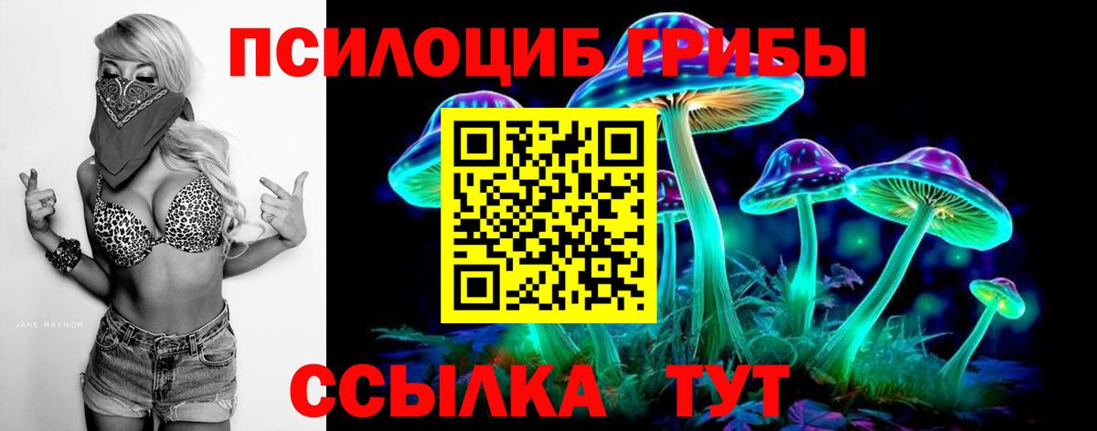 Пятигорск  Галлюциногенные грибы Magic Shrooms  хочу наркоту  Вход с VPN 