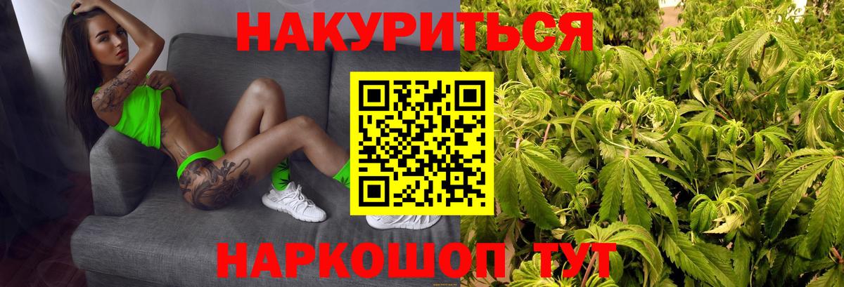Каннабис Amnesia Пятигорск